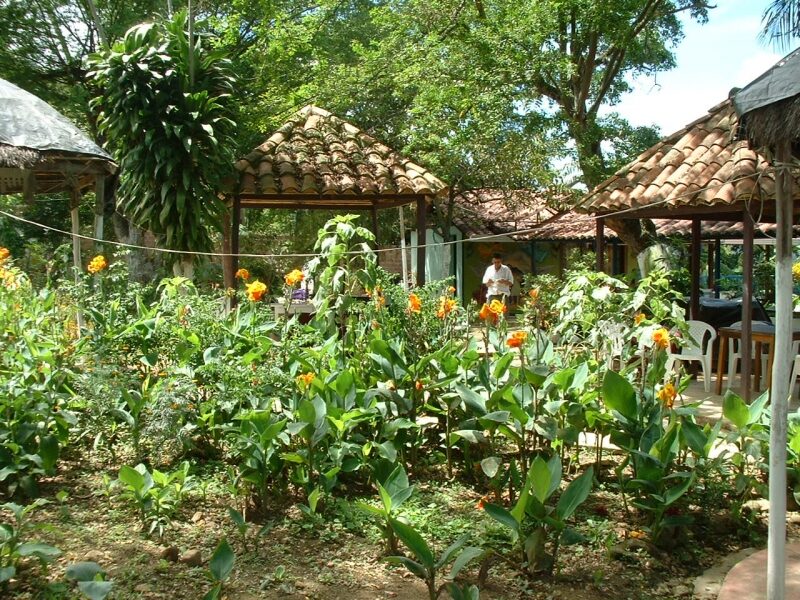 Comunidad fundación